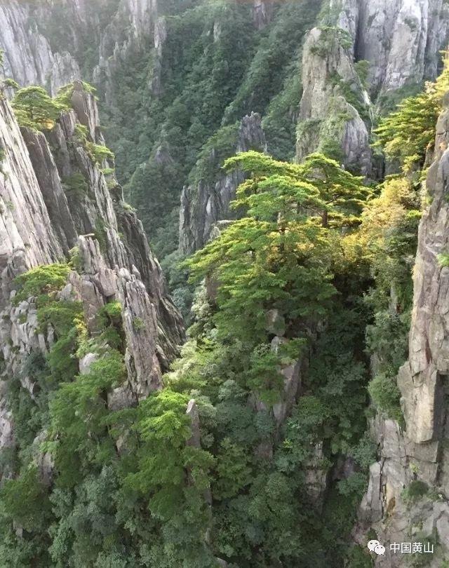 什么地方或软件能免费制作封面?-最新热门话题讨论社区